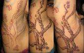 tree tattoo