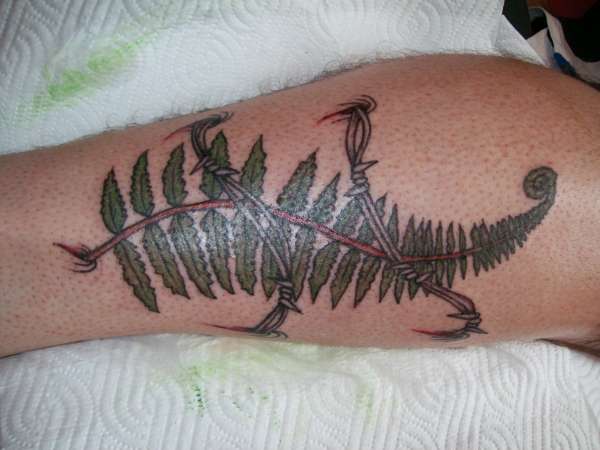 Silver Fern tattoo tattoo