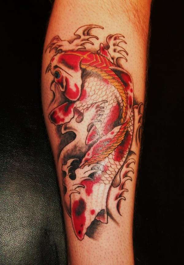 koi tattoo