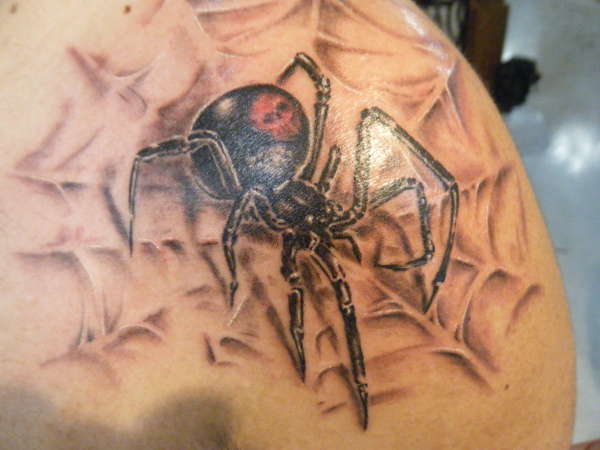 Spider fucking 7
