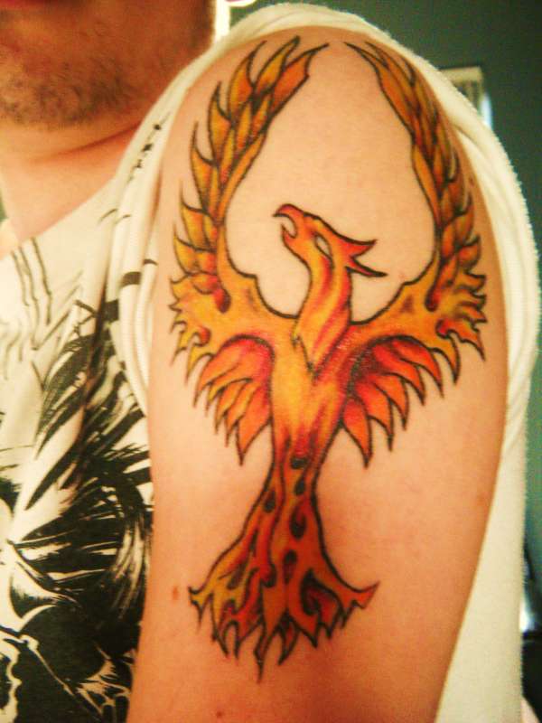 pheonix which i designedwith tattoo artist called miranda in gla tattoo