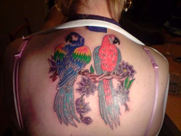 poly want a cracker tattoo