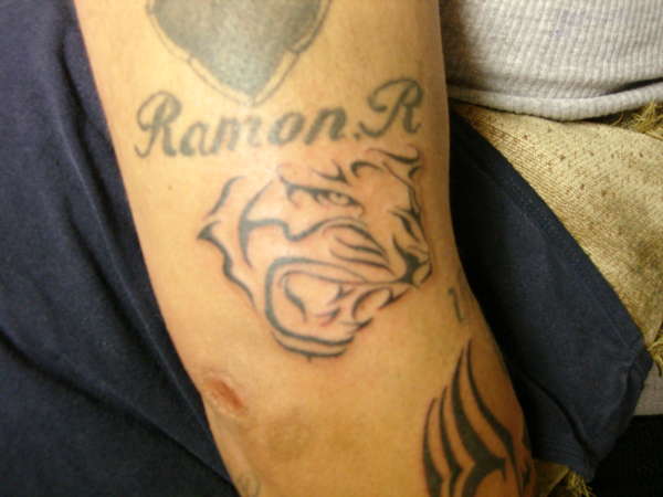 tribal tiger tattoo
