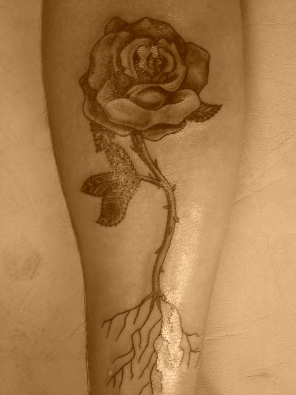 Rose... tattoo