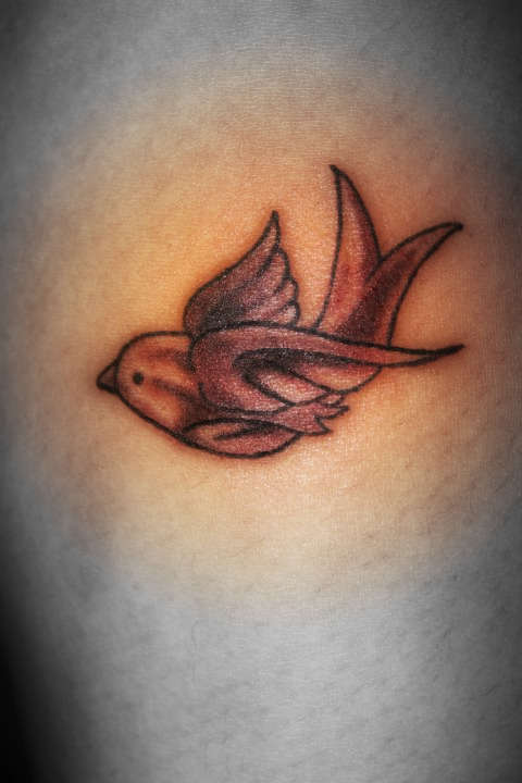 Sparrow tattoo