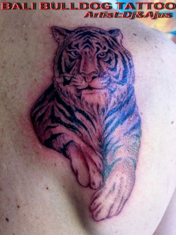 TIGER tattoo