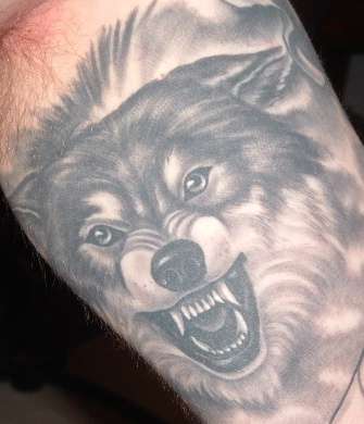 Wolf ( Fenris aka Fenrir aka Fenriz ) tattoo