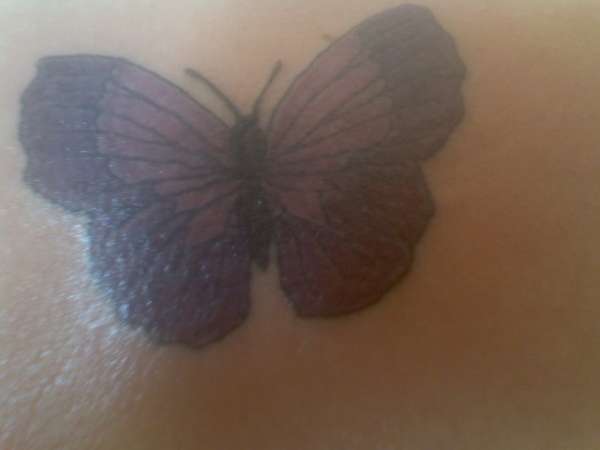 butterfly tattoo