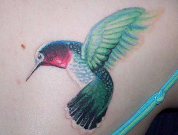 Hummingbird tattoo