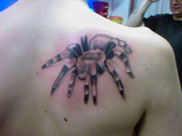 tarantule tattoo