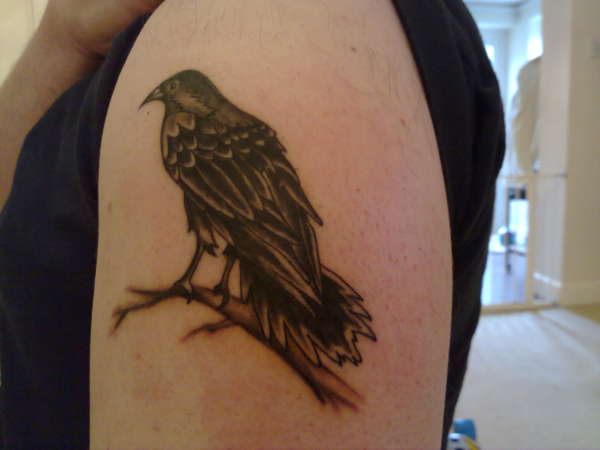 Crow on Shoulder tattoo