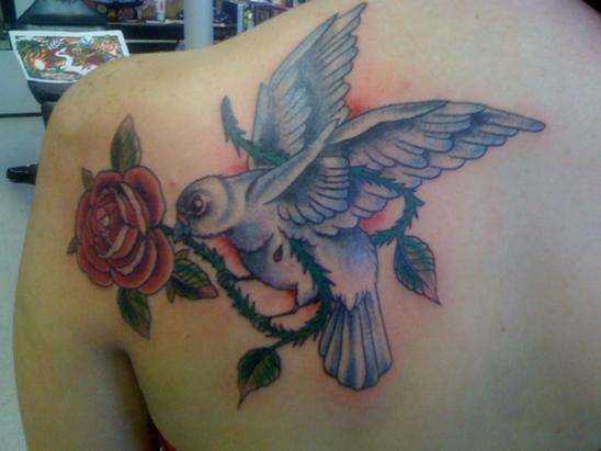 Dove still flying tattoo