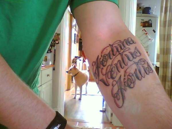 fortune favors the brave in latin tattoo