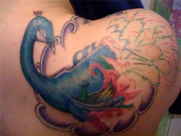 My Peacock Tat tattoo