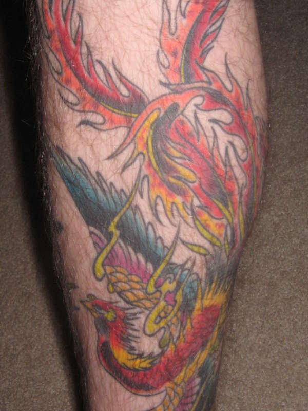 Phoenix tattoo