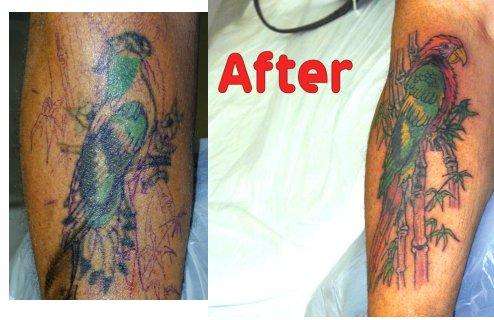 Bird CoverUp tattoo
