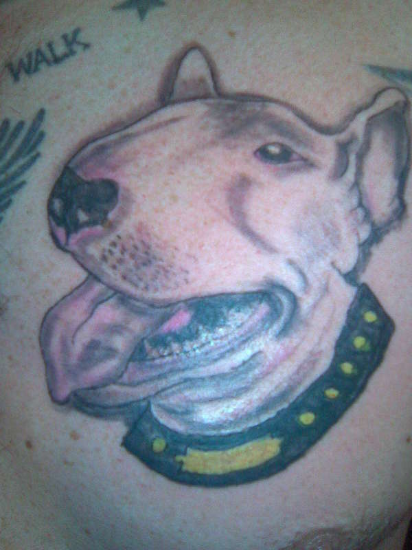 my bully tattoo