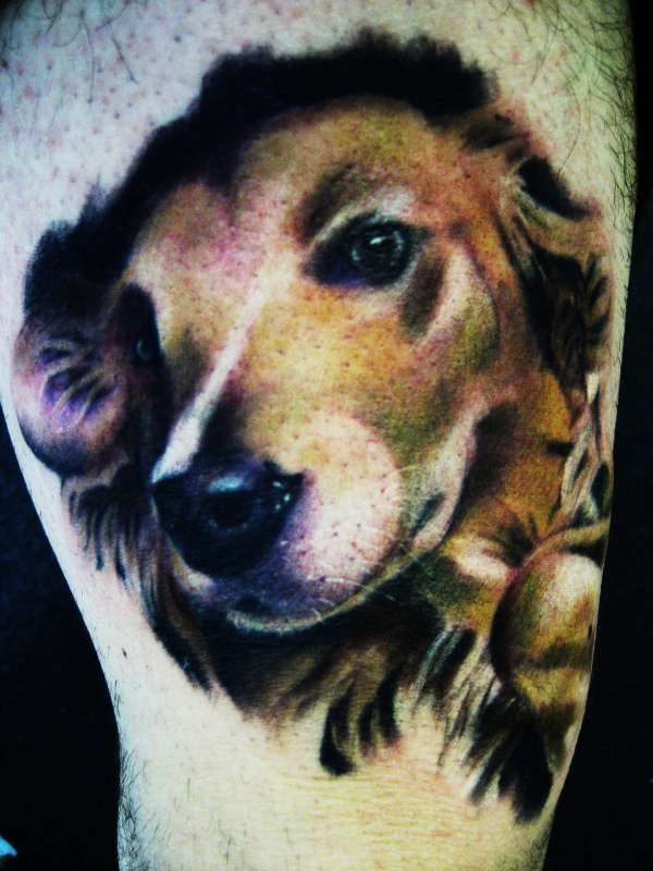 my dog Bailey tattoo