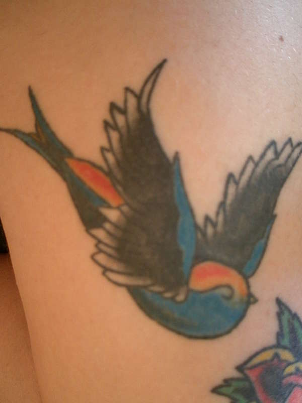 bird tattoo