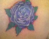 rose tattoo