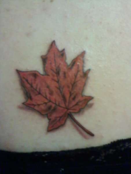 Maple Leaf tattoo