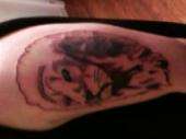 free handed lion tattoo