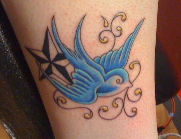 Blue Sparrow with Nautical Star tattoo