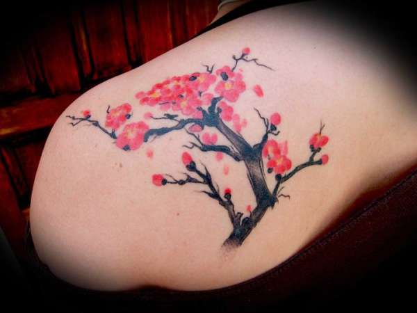 Cherry Blossoms, done by Jesse at Lucky Monkey tattoo