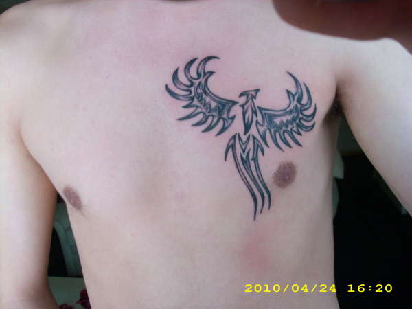 My first one. Tribal Phoenix tattoo