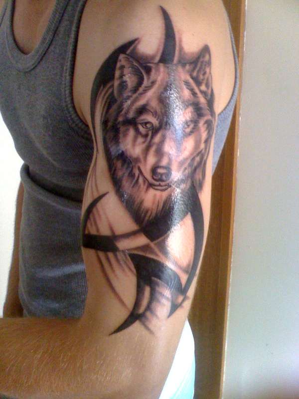 wolf tat tattoo