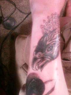 Beginning of Falcon tattoo