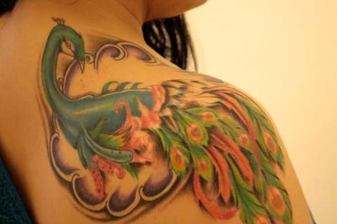 Peacock tat now has feathers colored in!! tattoo