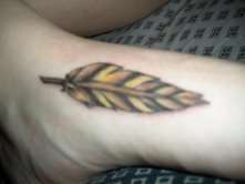 Red Tail Hawk Feather tattoo