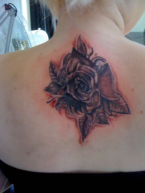 Rose tattoo