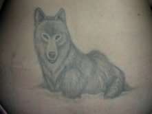 Wolf tattoo