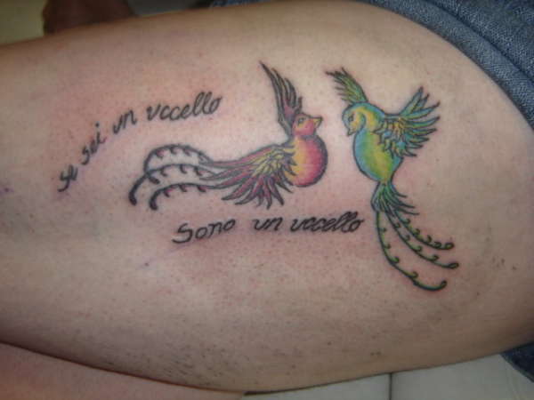 birds tattoo
