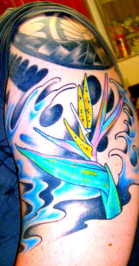 Bird of paradise tattoo
