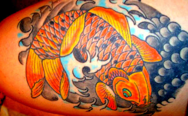 Koi fish on my thigh tattoo