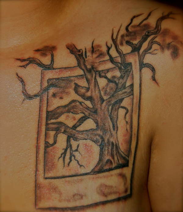Oak Tree Polaroid tattoo