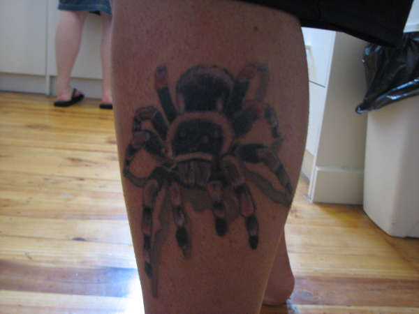 The Spider tattoo