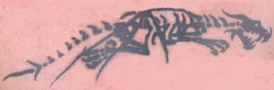 Dragon Skeleton tattoo