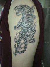 Tiger tattoo