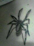 Spider tattoo