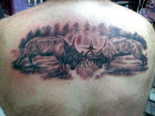 Ruttin' Elk tattoo
