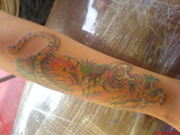 Tiger2 tattoo