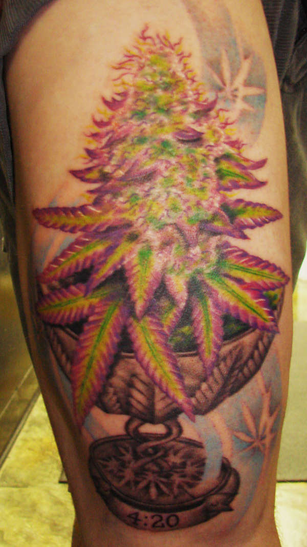 cannibus cup with purple kush tattoo