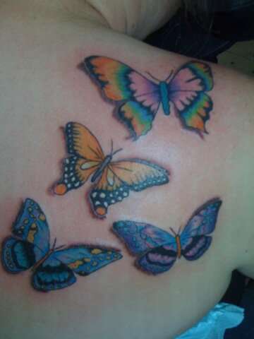 butterfly's tattoo