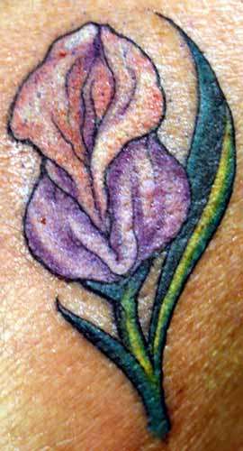 Flowerpuss tattoo
