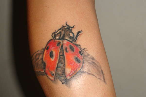 lady bug on leg tattoo