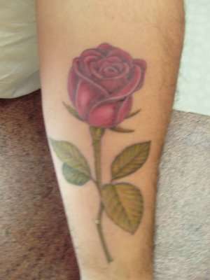Realistic Long Stem Rose tattoo